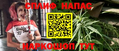 бошки Новоалександровск
